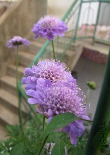 QQ��ͼ20131102170003.jpg