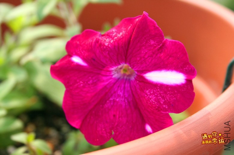 ��Ƭ 090_����.jpg