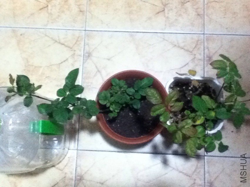 QQͼƬ20131102173626.jpg
