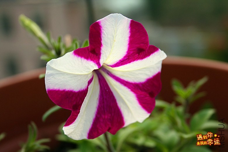 ��Ƭ 092_����.jpg