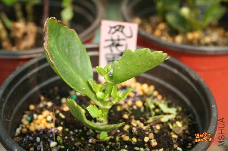 ��Ƭ 066_����.jpg