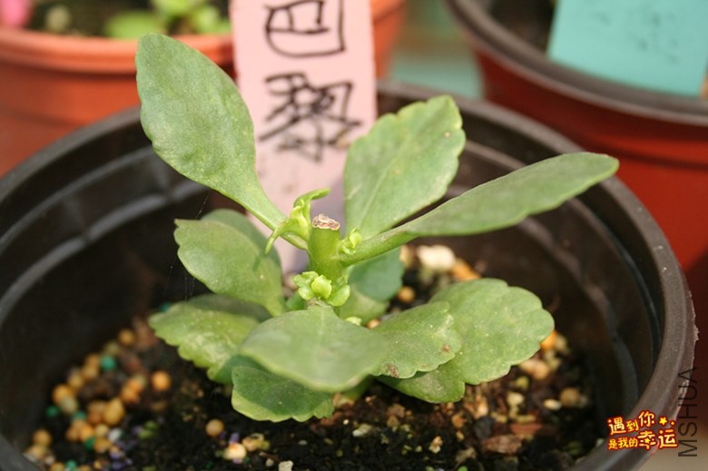 ��Ƭ 067_����.jpg