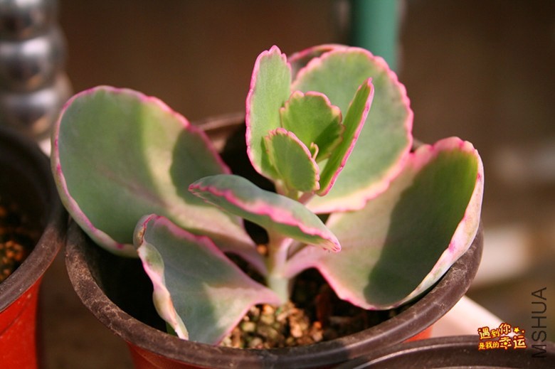 ��Ƭ 064_����.jpg