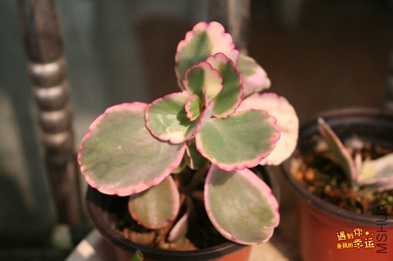 ��Ƭ 065_����.jpg