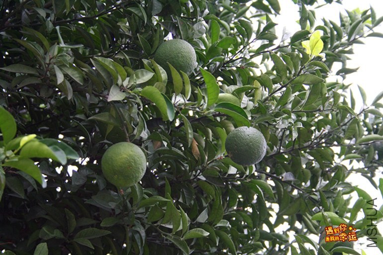 ��Ƭ 025_����.jpg