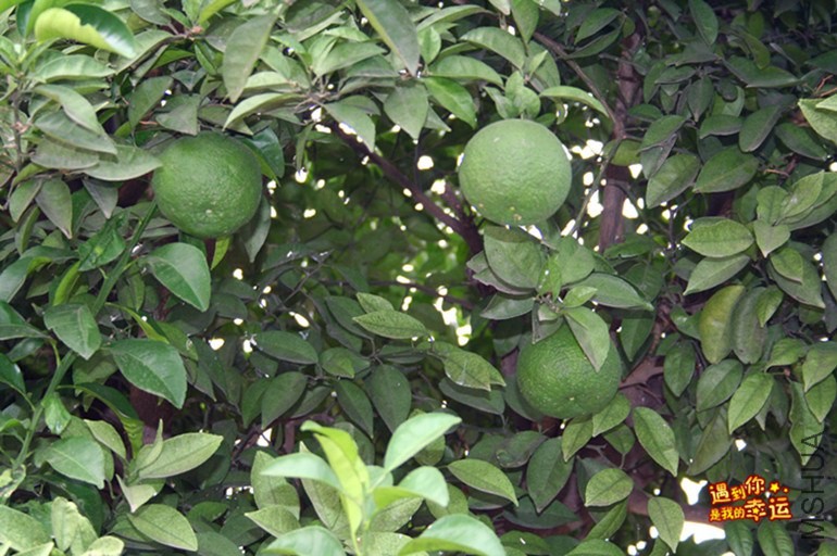 ��Ƭ 027_����.jpg