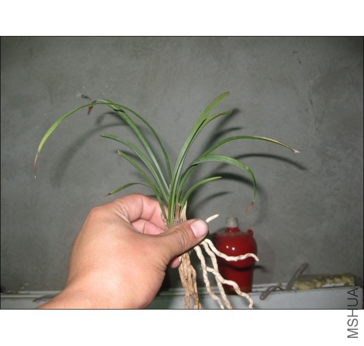 QQͼƬ20131102201323.jpg