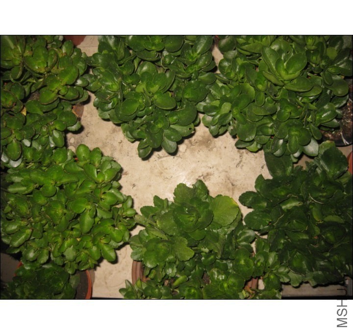 QQͼƬ20131102201433.jpg