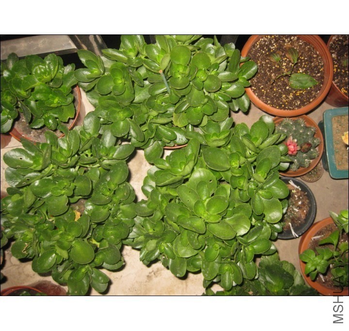 QQͼƬ20131102201426.jpg