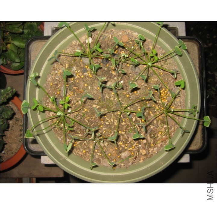 QQͼƬ20131102201344.jpg