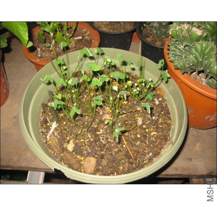 QQͼƬ20131102201359.jpg