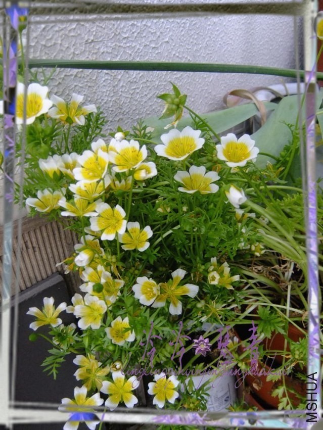 DSCF3570.jpg