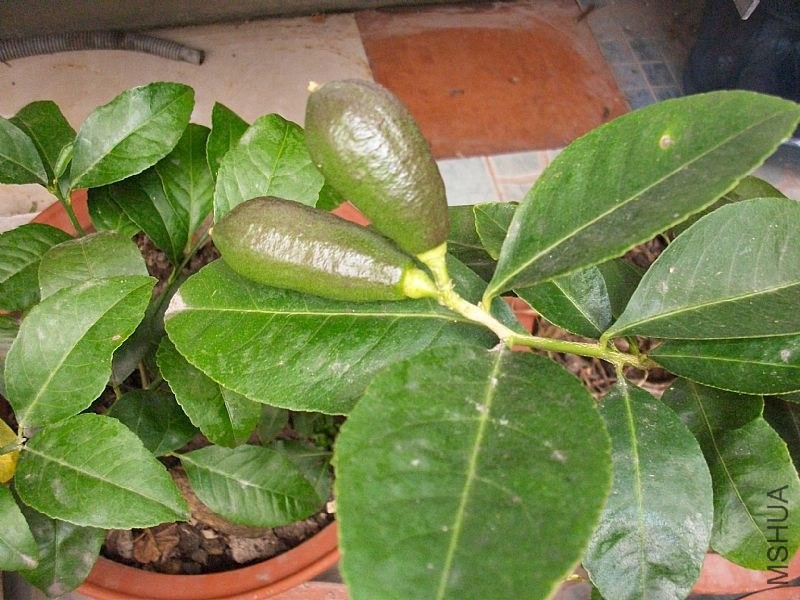 news_2013112174519.jpg