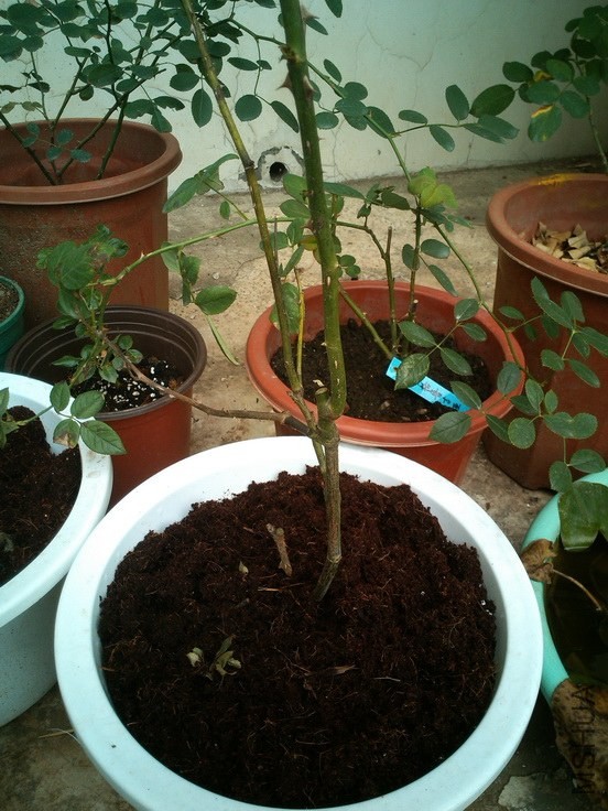 �����ƺ����ˣ�˶�����氡