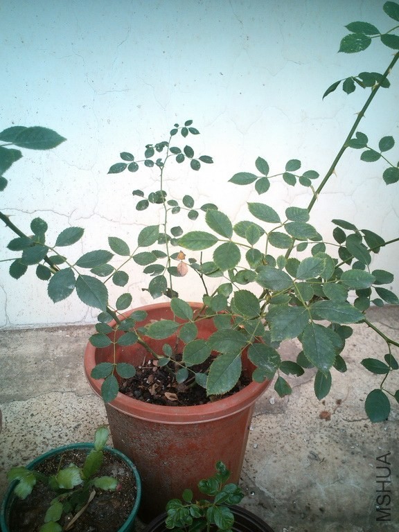 ���������ط��˾��ǲ�����