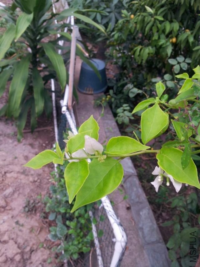 QQͼƬ20131103112727.jpg