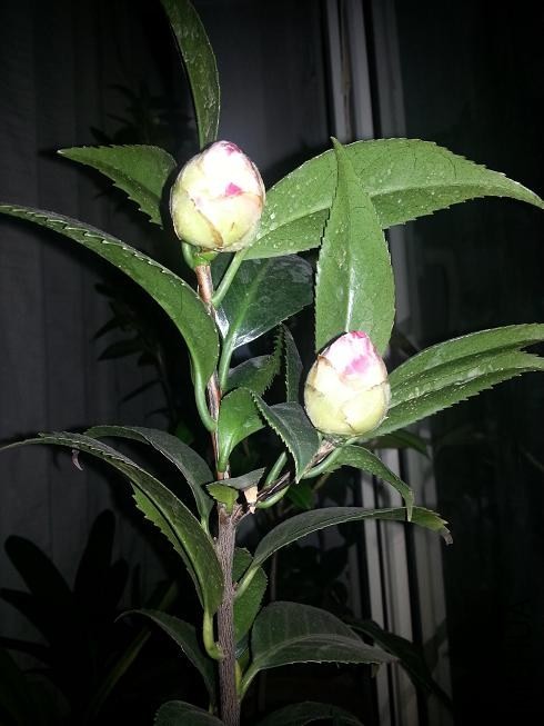 20131102_191036.jpg