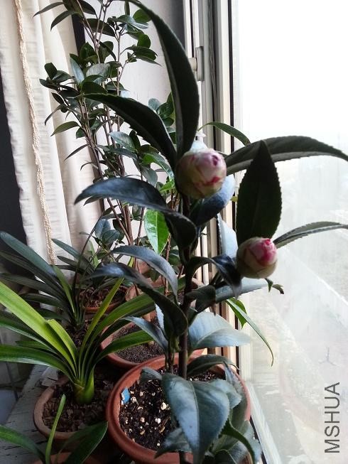 20131103_155616.jpg
