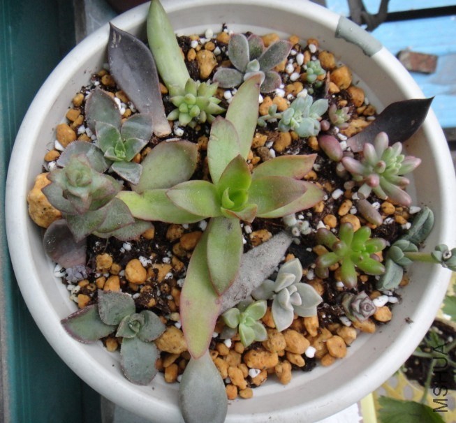 QQ��ͼ20131103162455.jpg