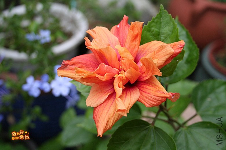 ��Ƭ 001_����.jpg