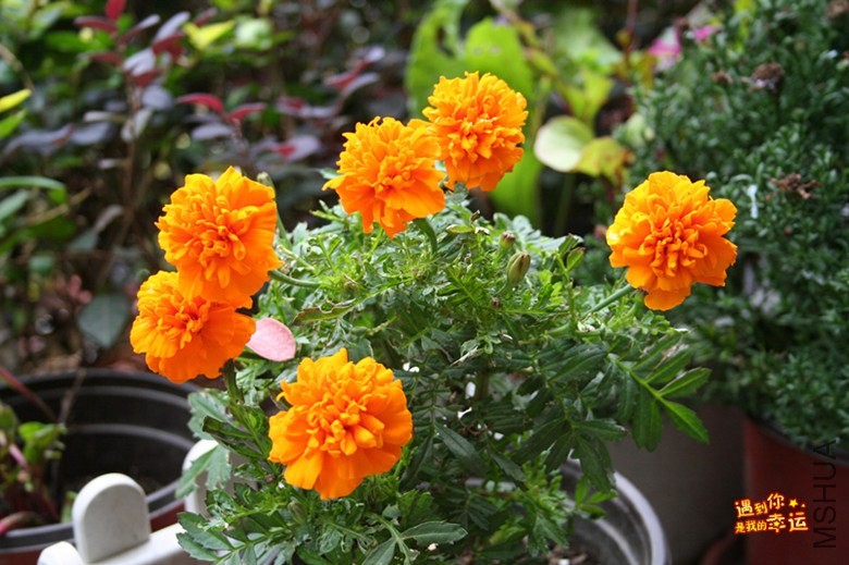 ��Ƭ 044_����.jpg