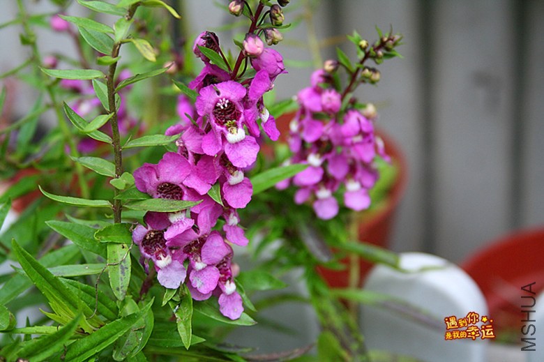 ��Ƭ 053_����.jpg