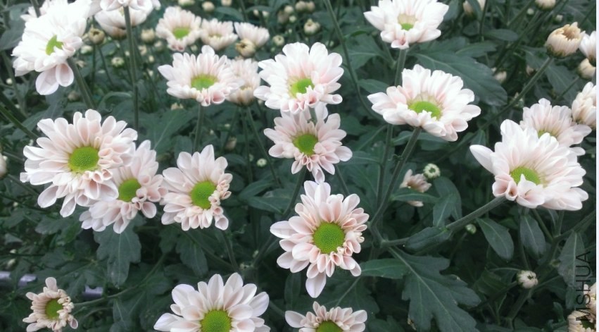 QQ��ͼ20131103205432.jpg