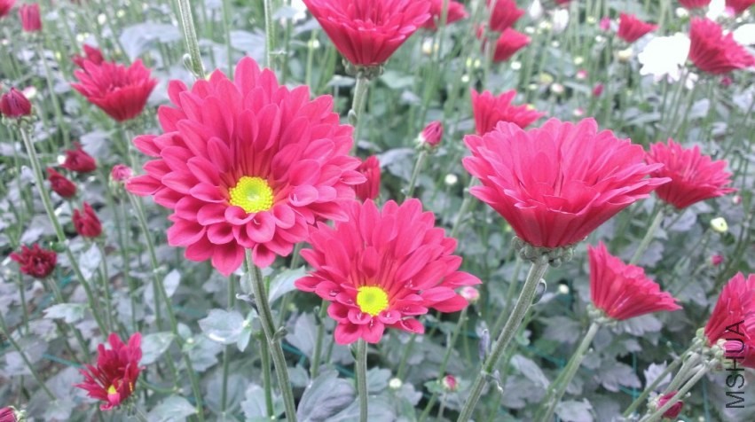 QQ��ͼ20131103205452.jpg