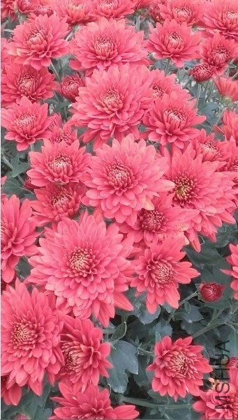 QQ��ͼ20131103205730.jpg
