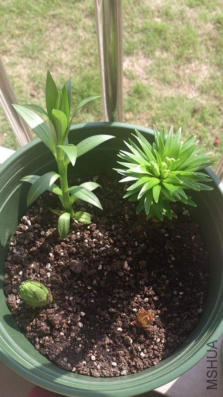 һ�����ĸ���ȫ����һ��״̬