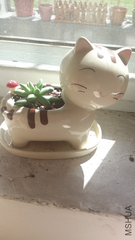 ��ʵϲ���������