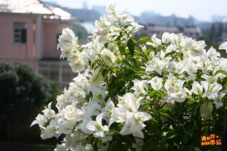 ��Ƭ 002_����.jpg