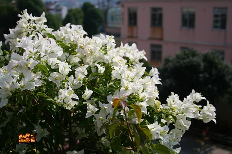 ��Ƭ 004_����.jpg