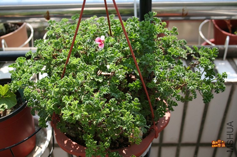 ��Ƭ 014_����.jpg