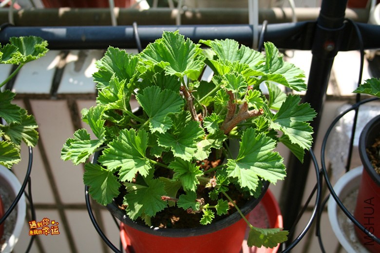 ��Ƭ 018_����.jpg