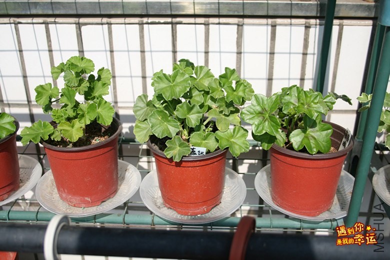 ��Ƭ 022_����.jpg