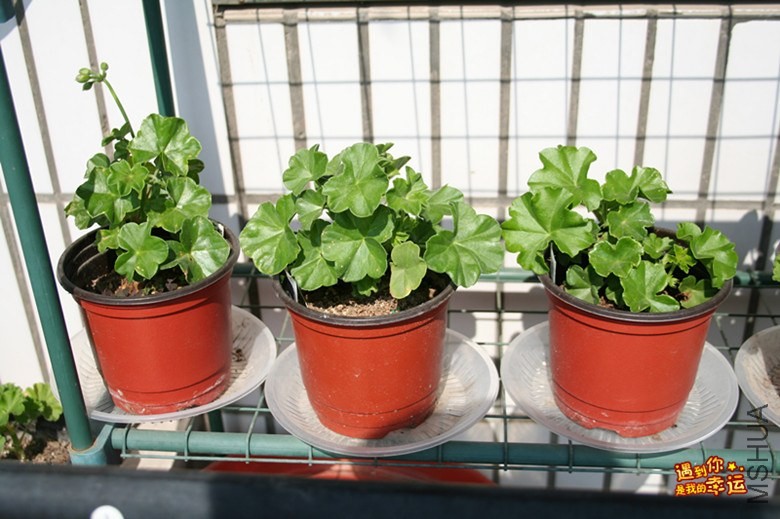 ��Ƭ 023_����.jpg