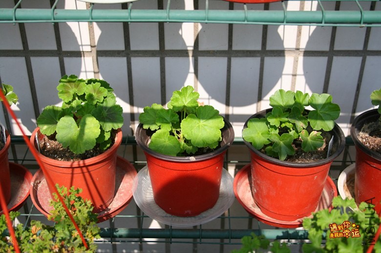 ��Ƭ 025_����.jpg