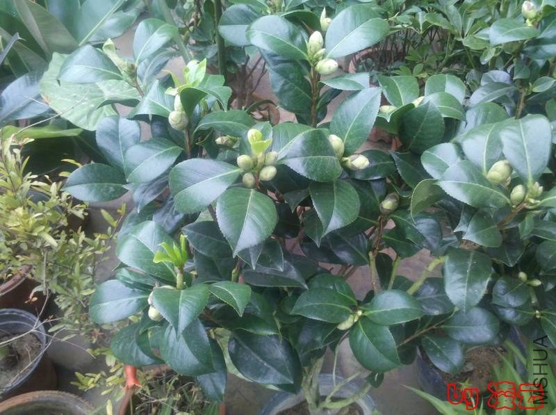 2013-11-02_11-18-03_697.jpg
