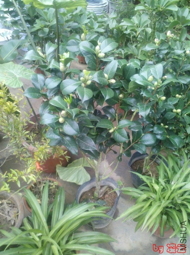 2013-11-02_11-18-11_546.jpg