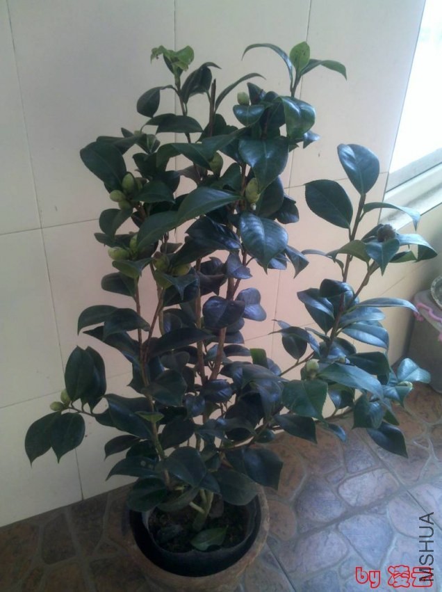2013-11-04_12-54-18_311.jpg