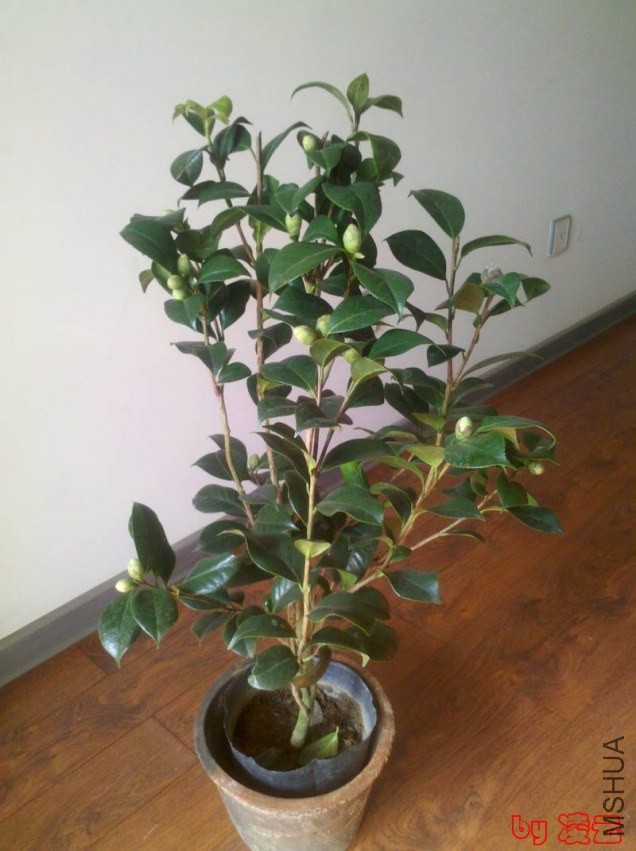 2013-11-04_12-54-33_878.jpg
