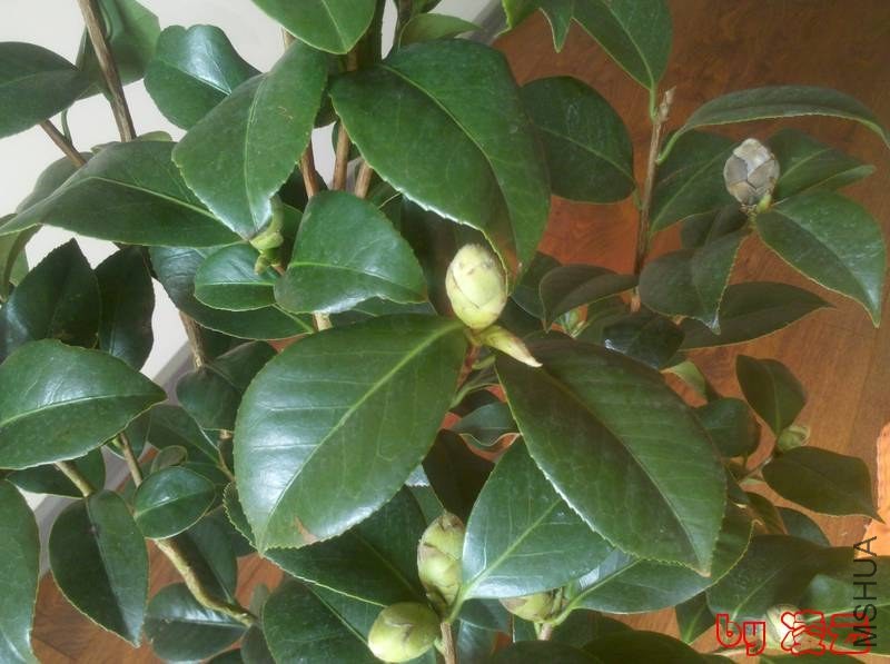 2013-11-04_12-55-45_312.jpg