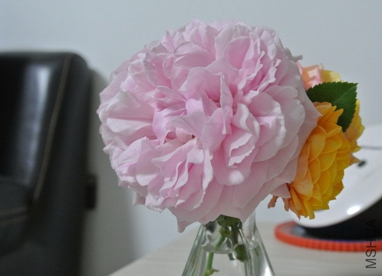 DSC_0721_������С.jpg