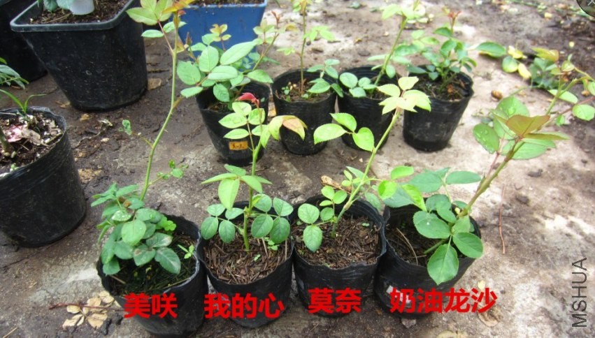 RHJ97{8LCLB[S5RFX2]%J25.jpg