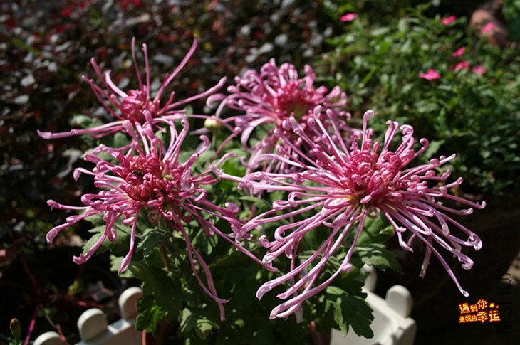 ��Ƭ 093_����.jpg