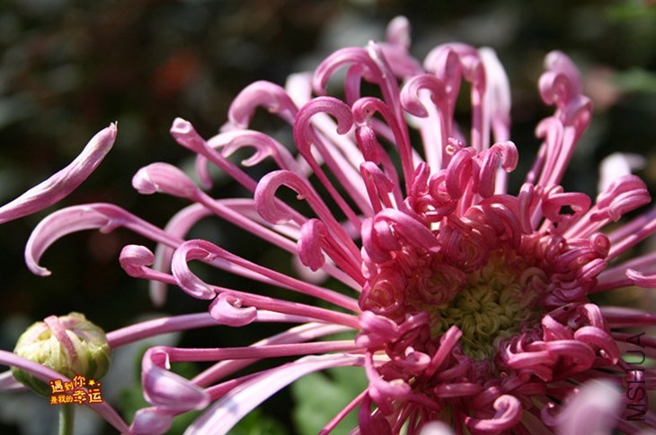 ��Ƭ 096_����.jpg