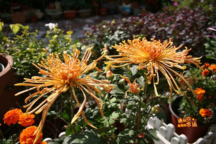 ��Ƭ 098_����.jpg