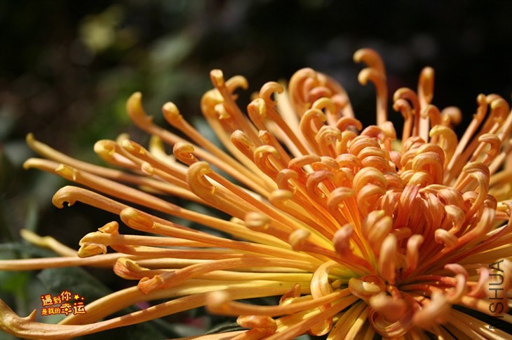 ��Ƭ 101_����.jpg