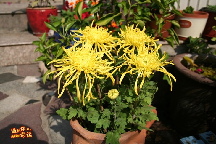 ��Ƭ 107_����.jpg